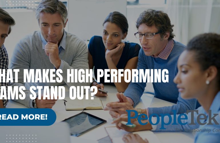 What Makes High Performing Teams Stand Out?